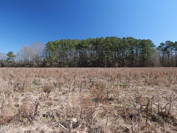 02 E Main Street, Carthage, MS 39051