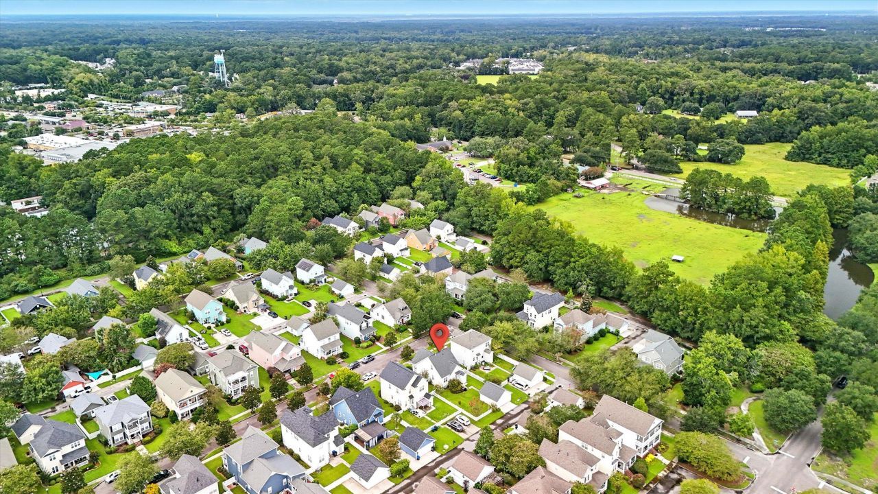 203 Hydrangea Street Photo 40