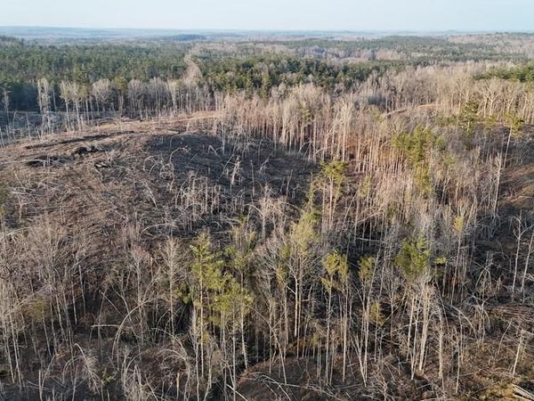 00 County Road 82, Coffeeville, MS 38922