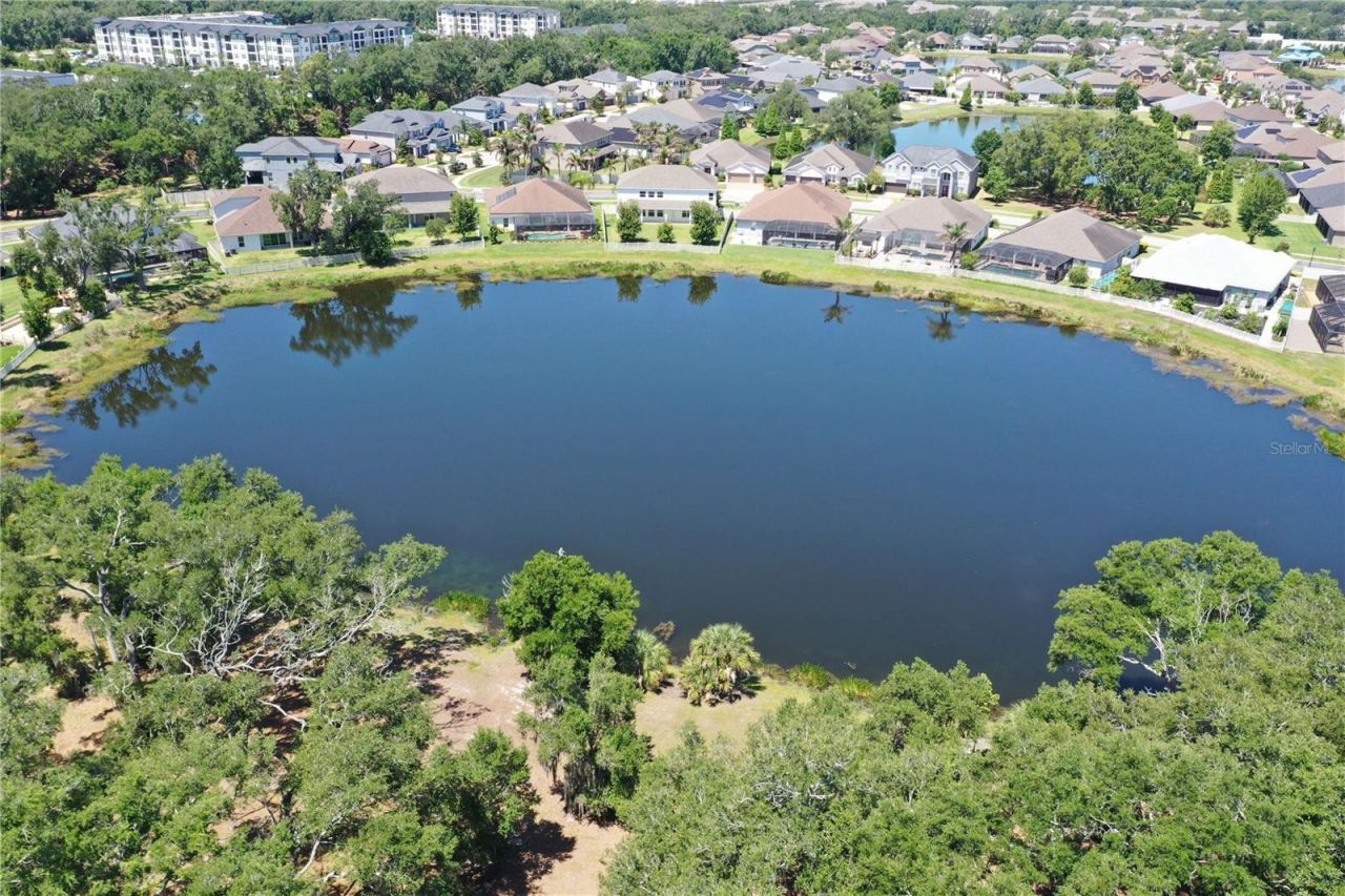 5412 Camberwell Lane, Riverview, FL 33578 Photo