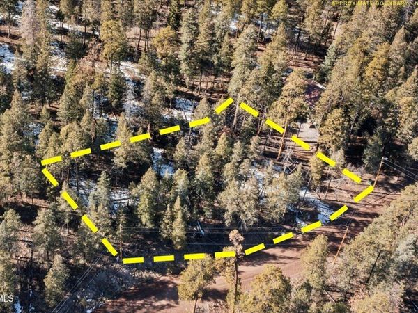 9 COUNTY ROAD 2073, Unit 1, Alpine, AZ 85920
