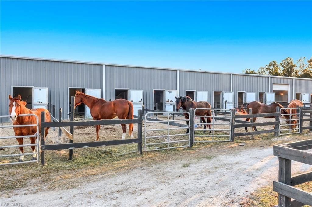 13731 E Terry St , Bonita Springs, FL 34135 Photo