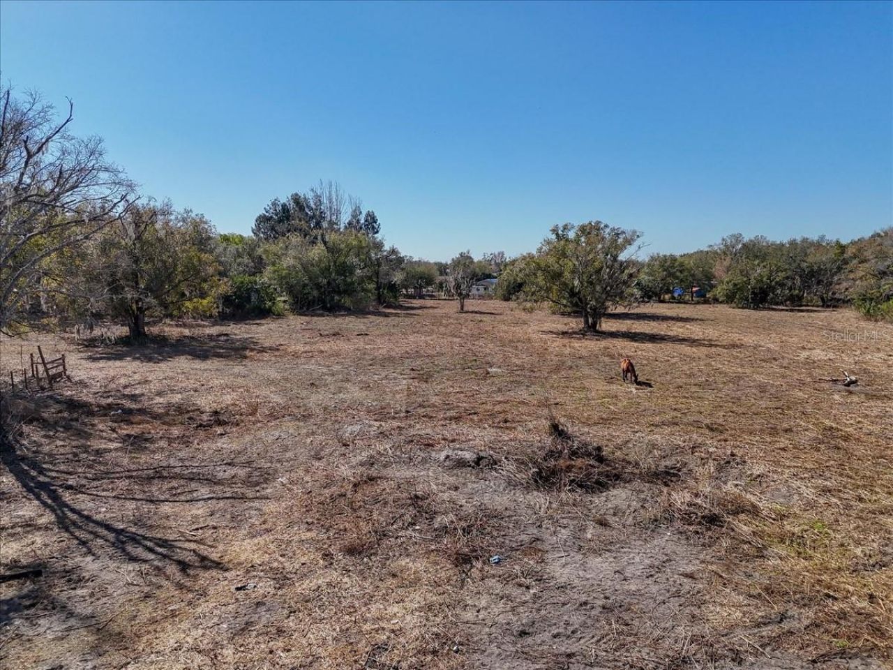 1707 SW Robin Road, Arcadia, FL 34266 Photo