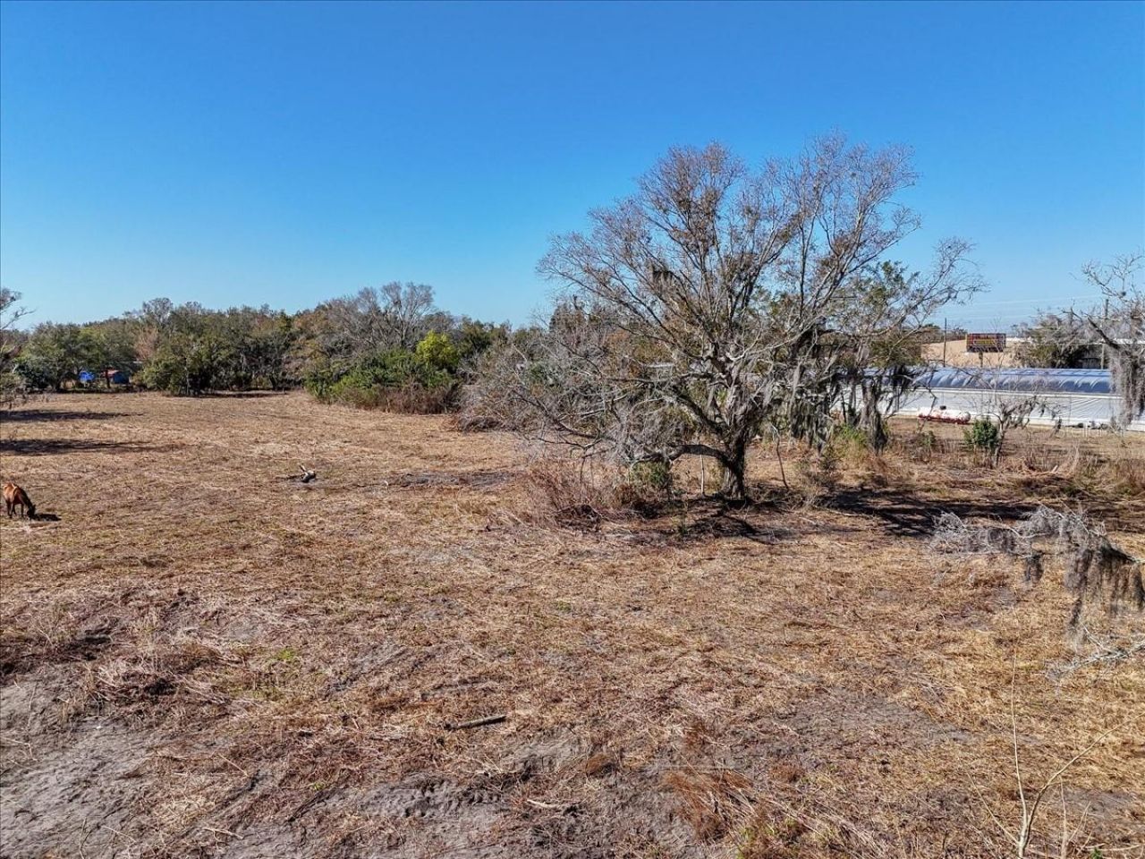 1707 SW Robin Road, Arcadia, FL 34266 Photo