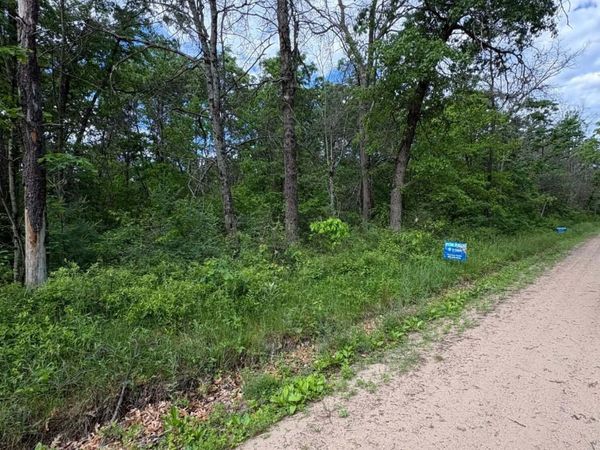 V/L E Lynndon Street, Idlewild, MI 49642