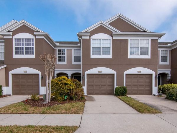 10132 PINK PALMATA COURT, RIVERVIEW, FL 33578