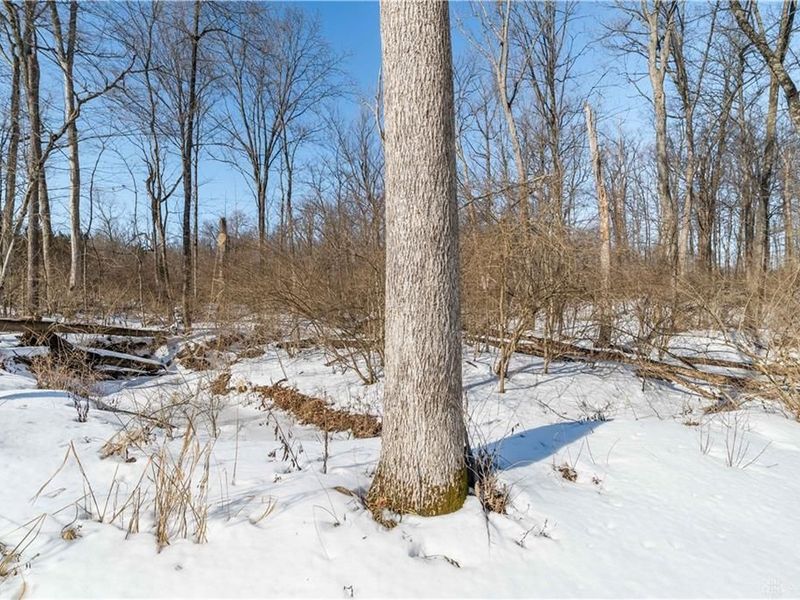 5435 Sherfield Drive, Dayton, OH 45426 Photo 60