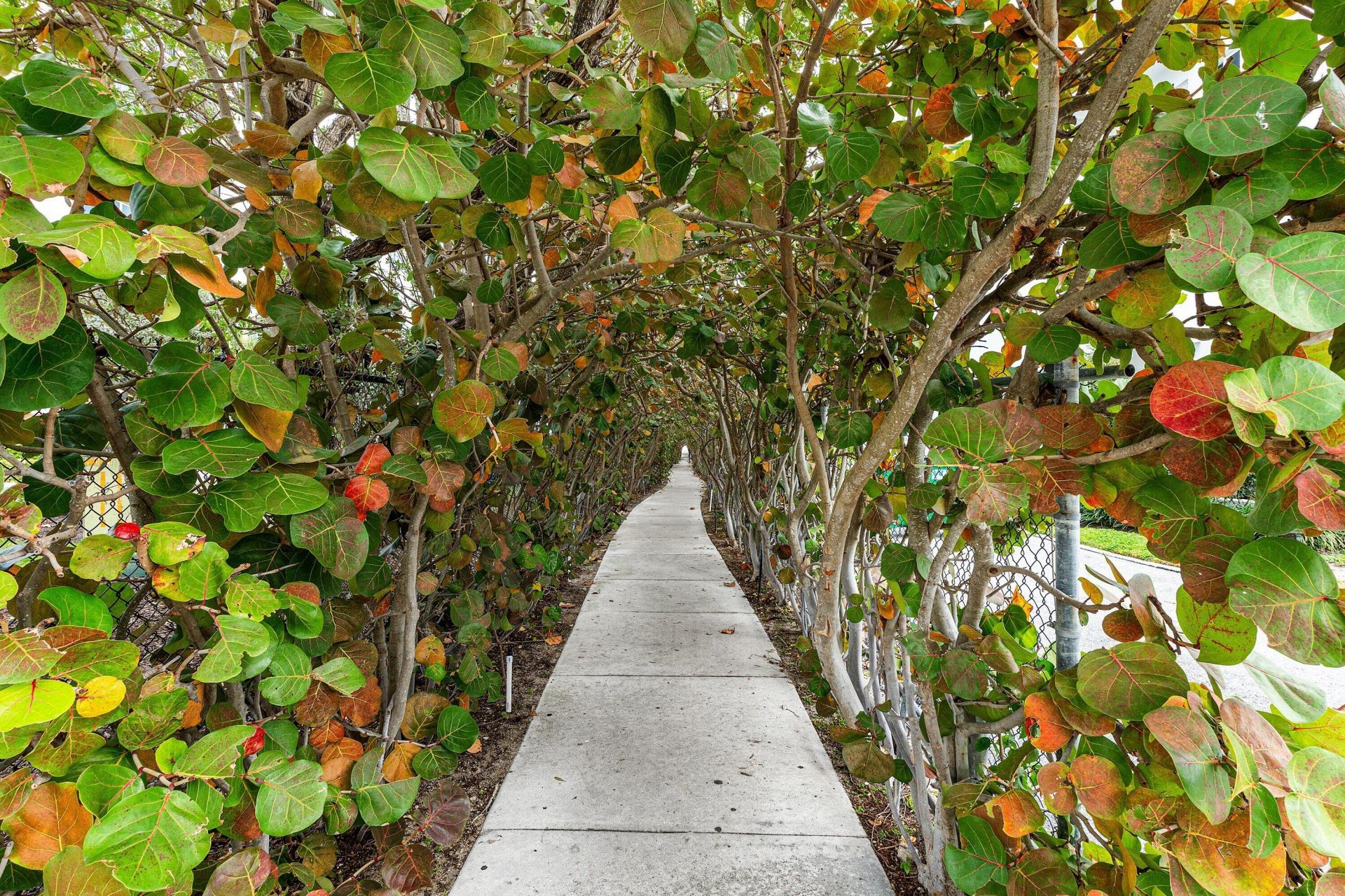 100 Bravado Lane, Unit 2, Palm Beach Shores, FL 33404 Photo