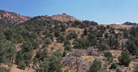 0 Temple Hill Road, Reno, NV 89521 Photo