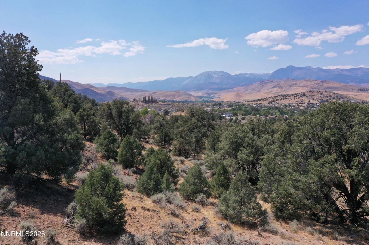 0 Temple Hill Road, Reno, NV 89521 Photo