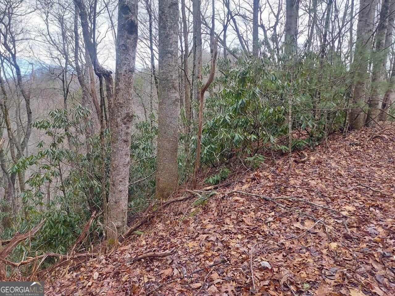 0 Labelle Circle Lot 229 & 230, Sky Valley, GA 30537 Main Photo