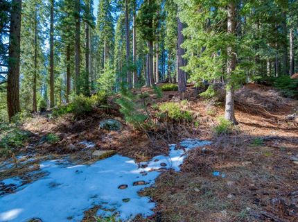 5371 Main Street, Johnsville, CA 96103 Photo