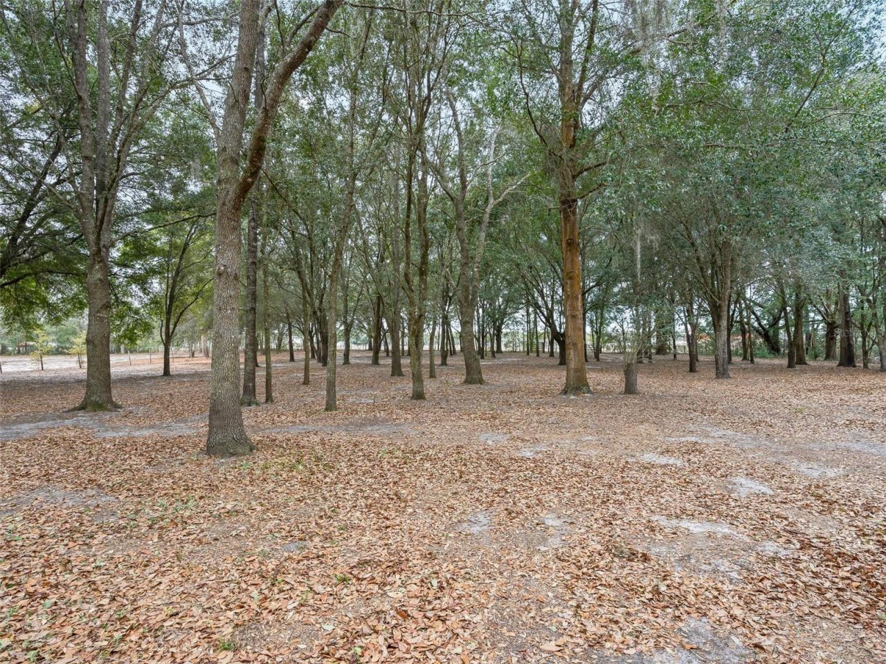 1424 S Us 301, Sumterville, FL 33585 Photo