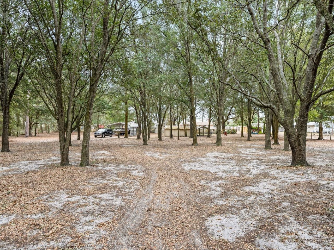 1424 S Us 301, Sumterville, FL 33585 Photo