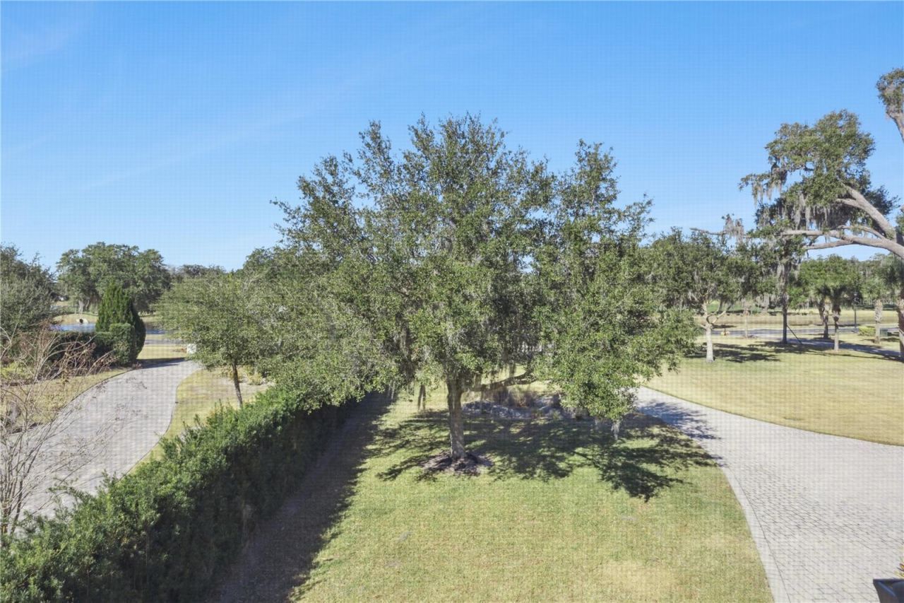 10327 Hart Branch Circle, Orlando, FL 32832 Photo