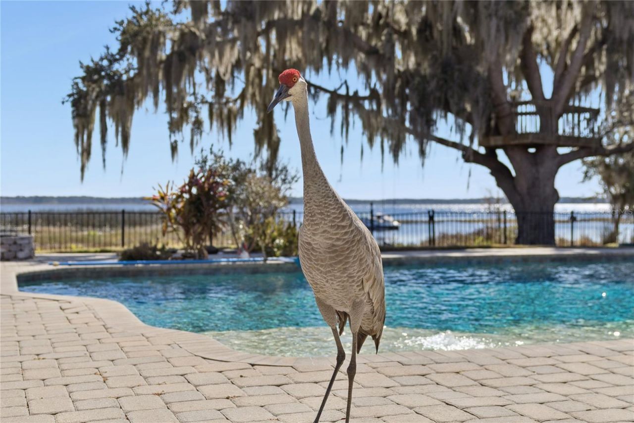 10327 Hart Branch Circle, Orlando, FL 32832 Photo