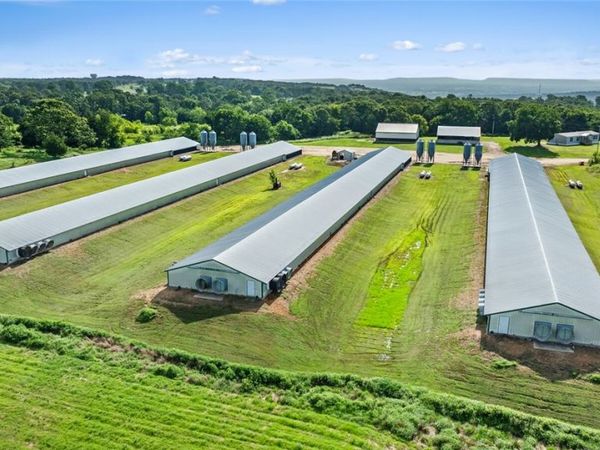 20482 Gem Road , Lincoln, AR 72744