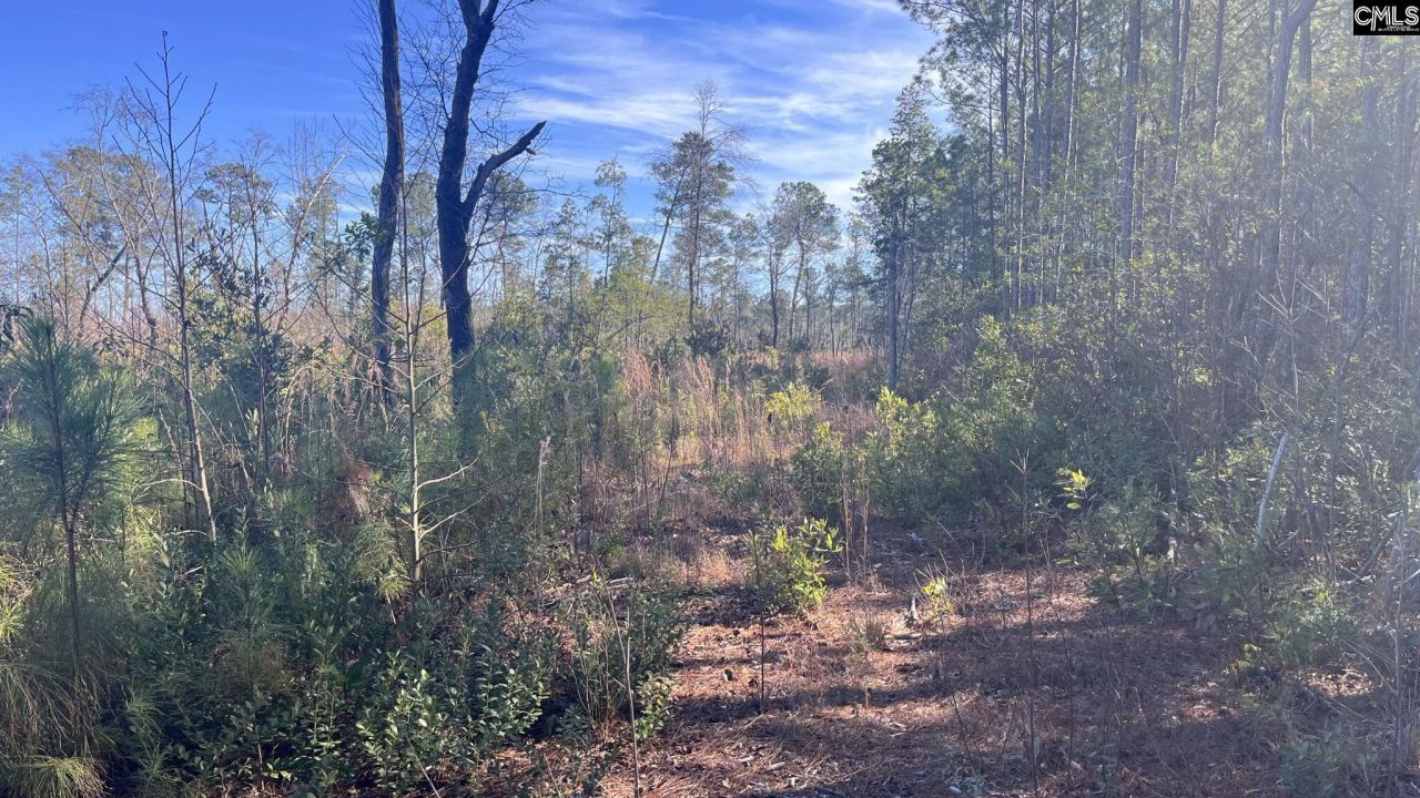 Tbd Epps Road Photo 11