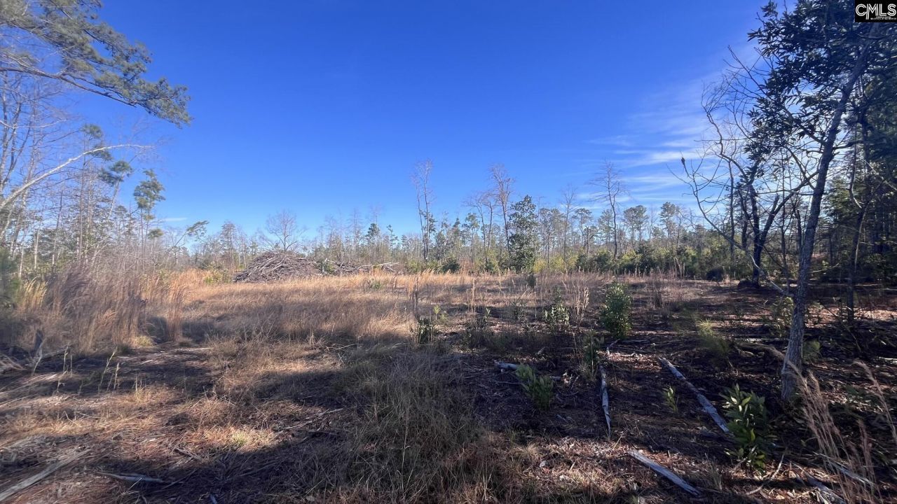 Tbd Epps Road Photo 12