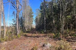 Tbd Epps Road photo 4