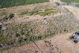 Tbd Epps Road photo 4