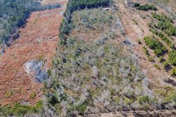 Tbd Epps Road photo 4