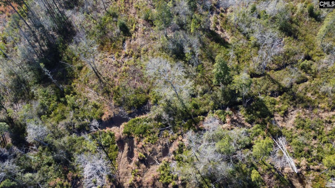 Tbd Epps Road Photo 5