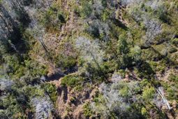 Tbd Epps Road photo 4