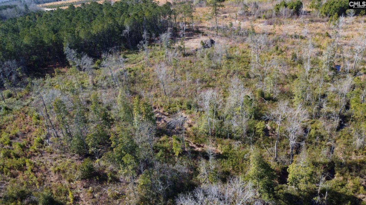 Tbd Epps Road Photo 7