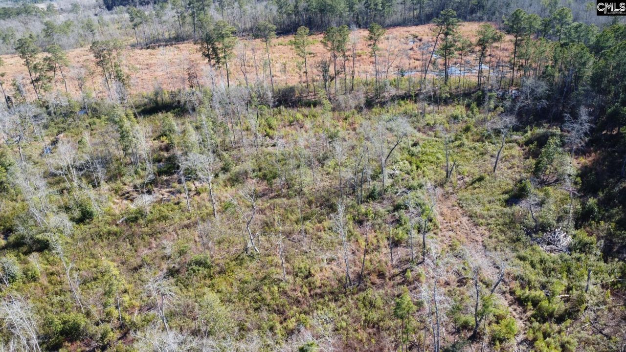 Tbd Epps Road Photo 8