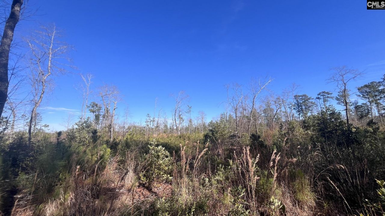 Tbd Epps Road Photo 9