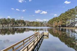 222 Falling Leaves Lane photo 4