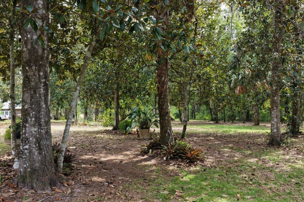 1710 SE First Street, Steinhatchee, FL 32359 Photo