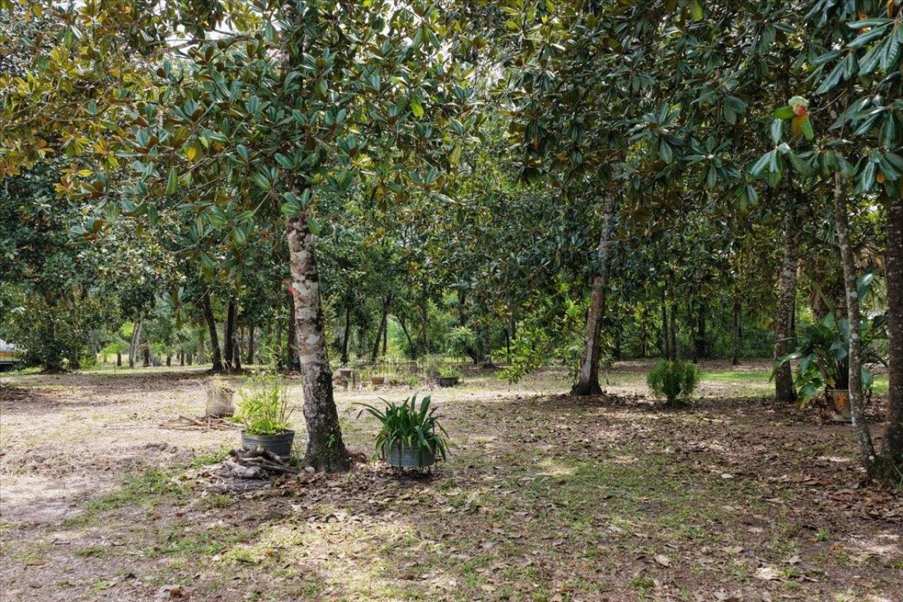 1710 SE First Street, Steinhatchee, FL 32359 Photo