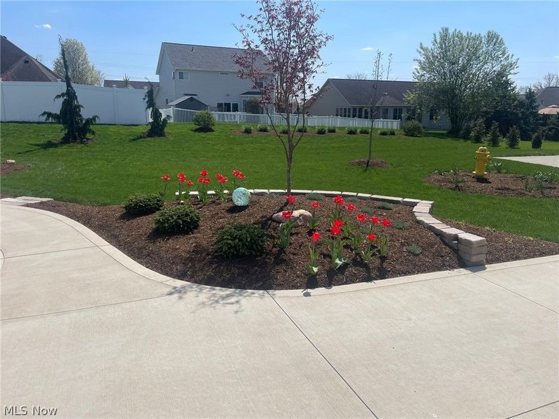 1637 Firethorn Lane, Wooster, OH 44691 Photo 8