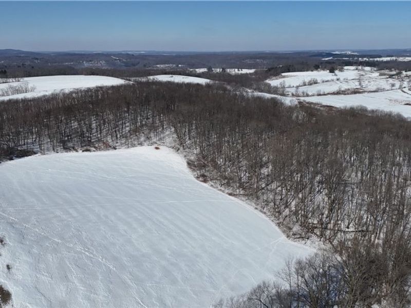 48661 Lakeview Circle, East Liverpool, OH 43920 Photo 17