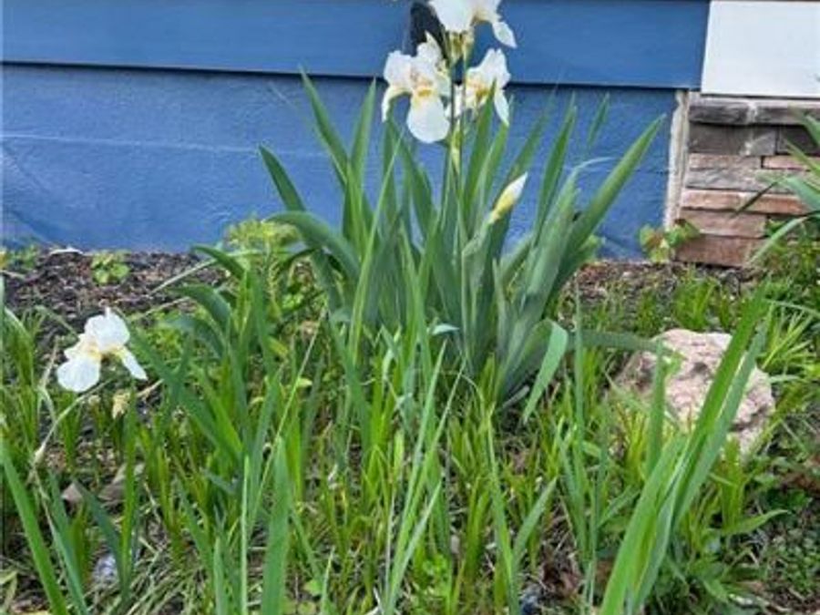 Property Image 117