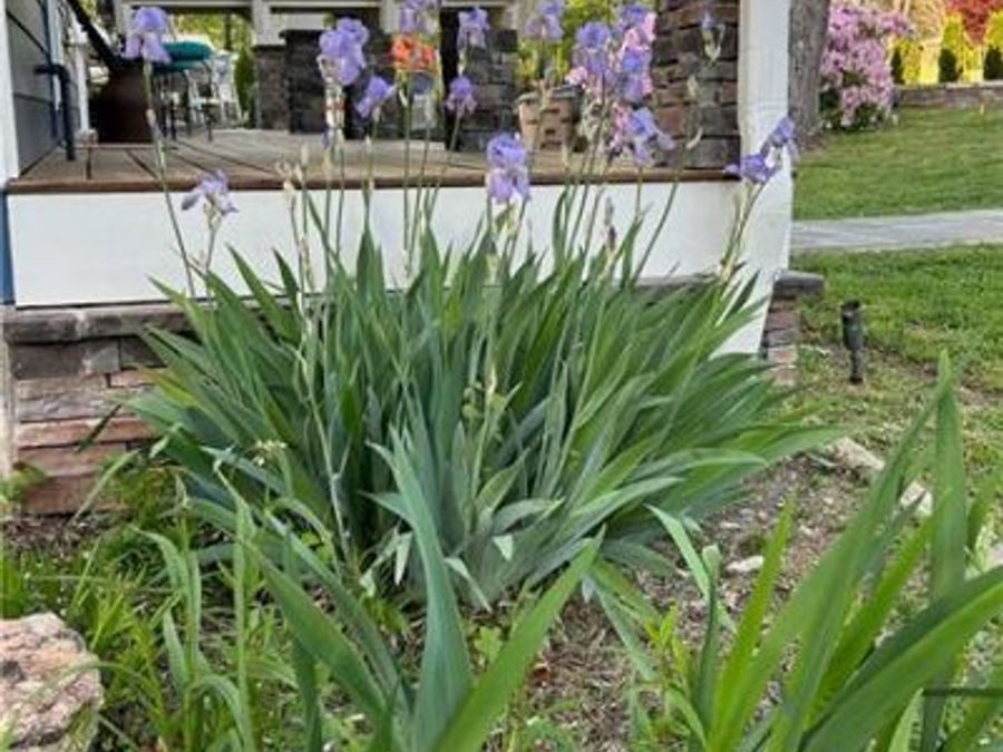 Property Image 118