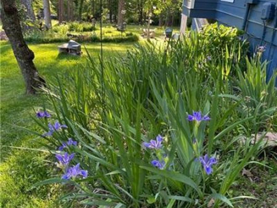 Property Image 120
