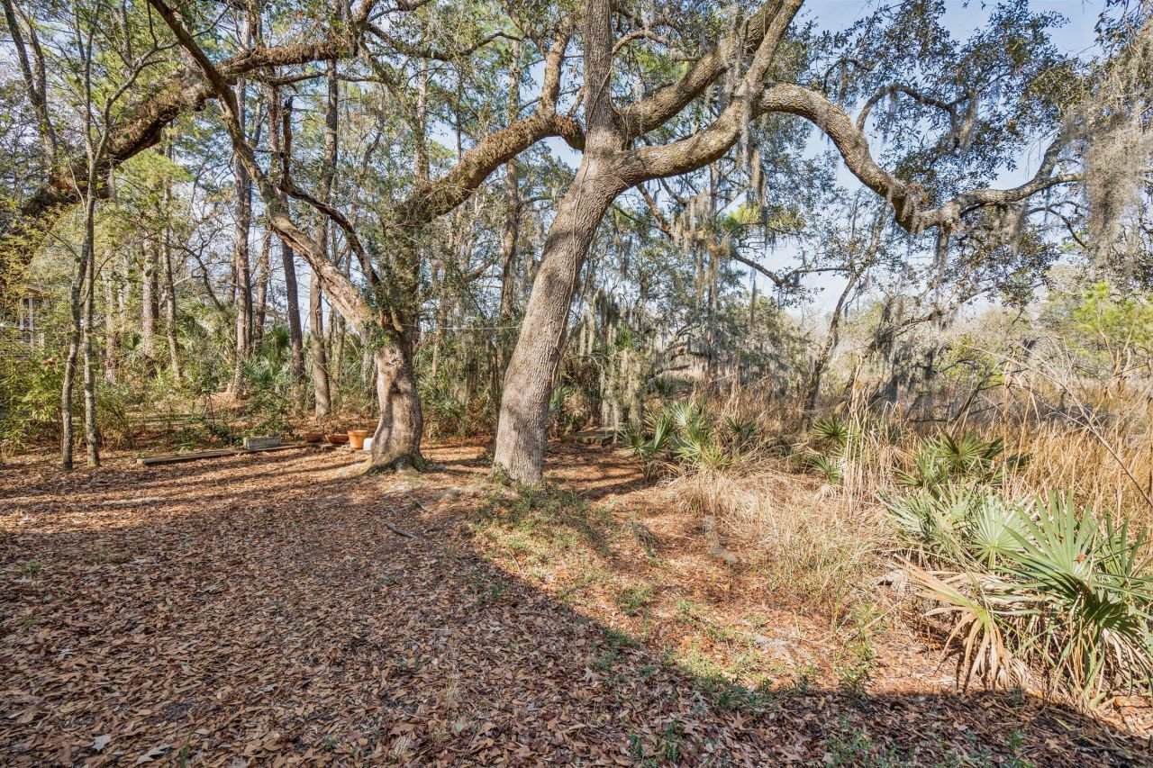 9 Arabian Drive Photo 100