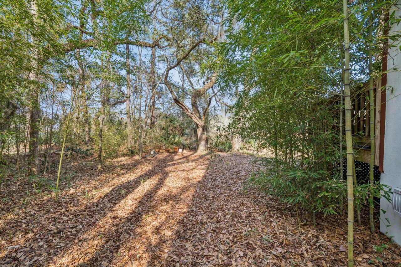 9 Arabian Drive Photo 103