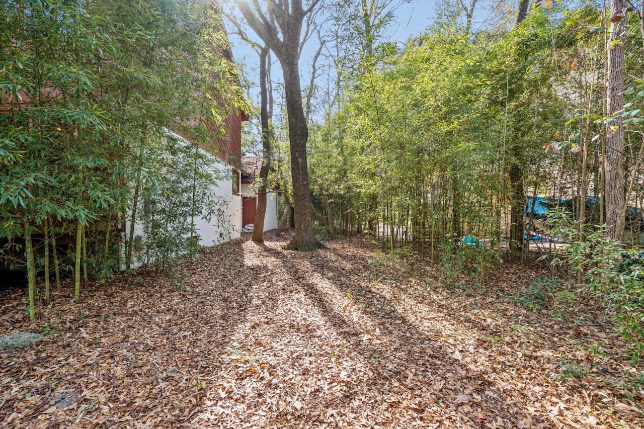 9 Arabian Drive Photo 104