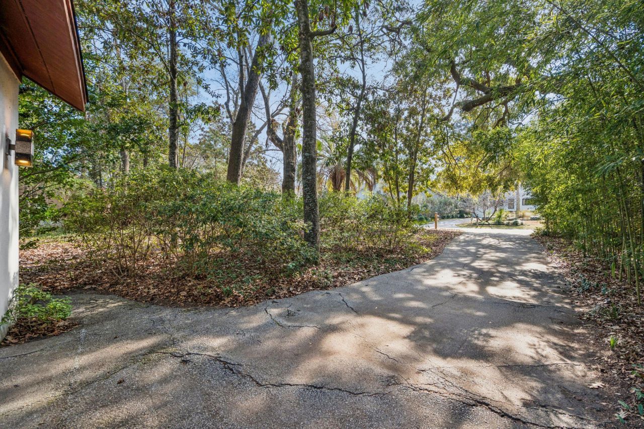 9 Arabian Drive Photo 105