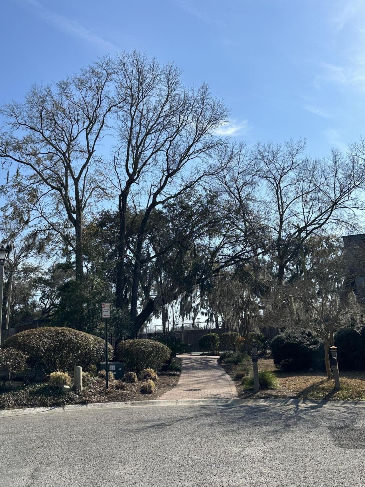 9 Arabian Drive Photo 108