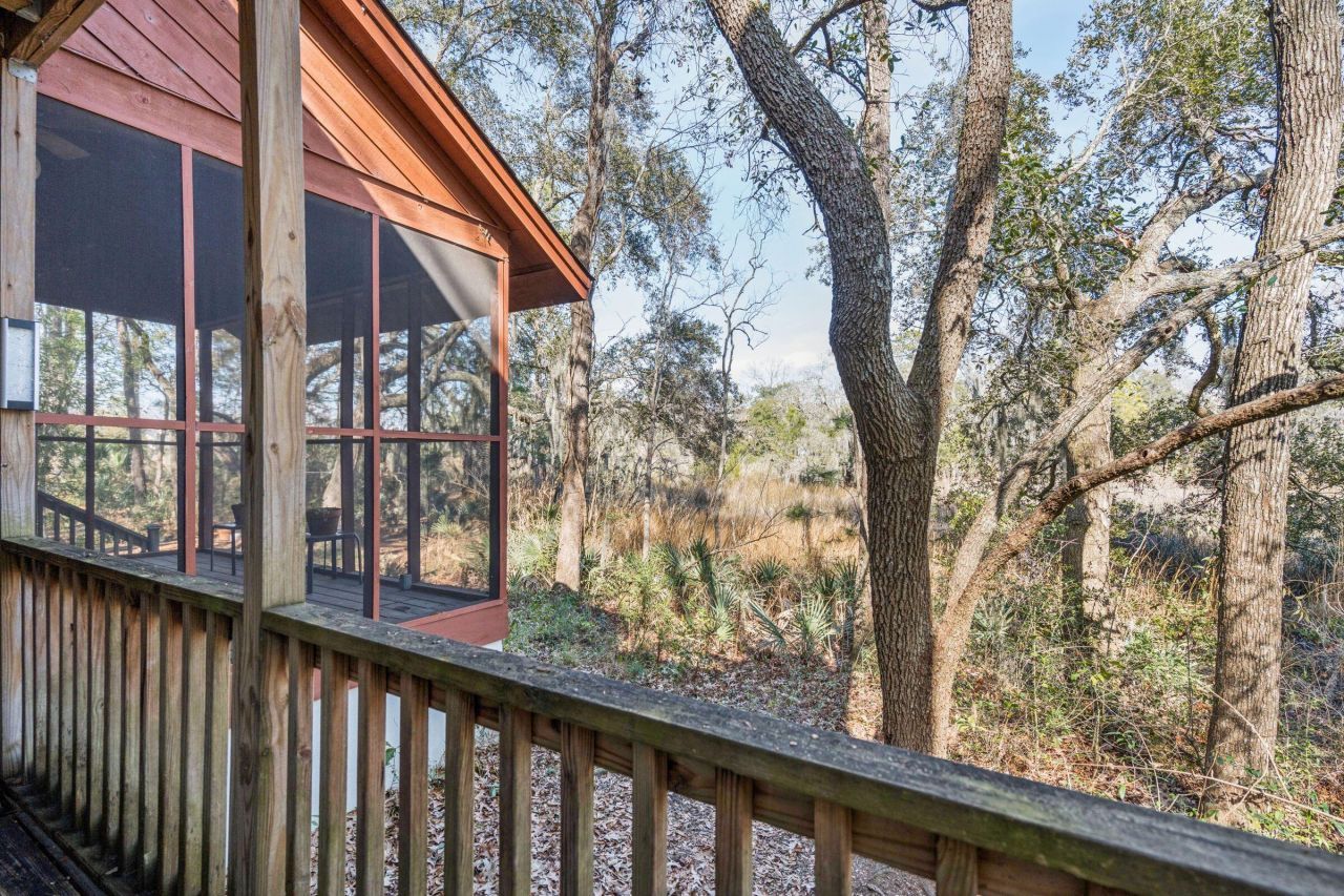 9 Arabian Drive Photo 22