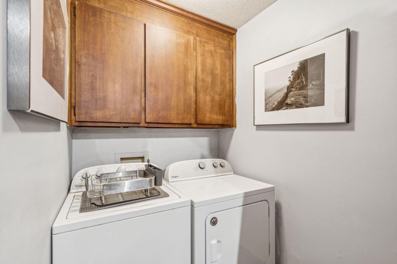 9 Arabian Drive Photo 47