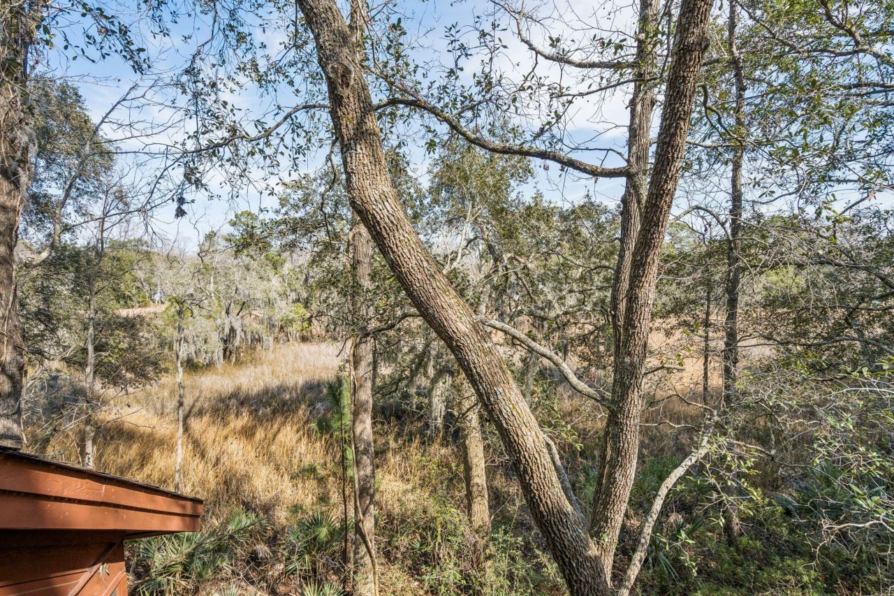 9 Arabian Drive Photo 64