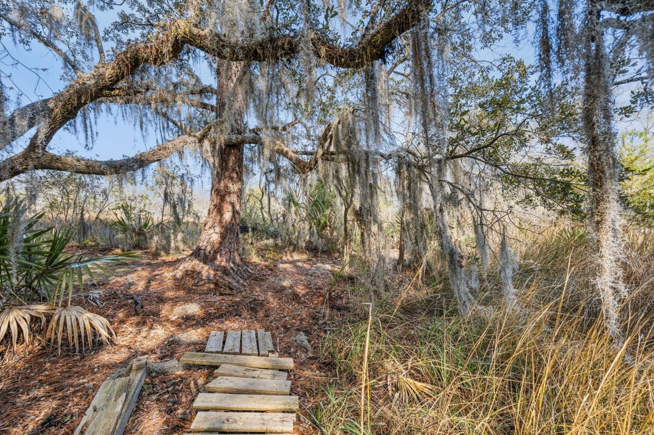 9 Arabian Drive Photo 86