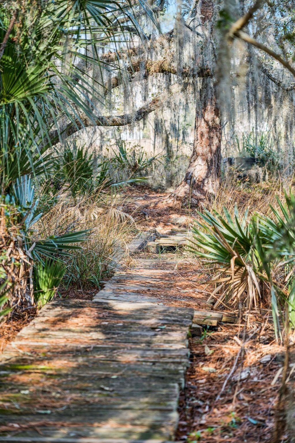 9 Arabian Drive Photo 87