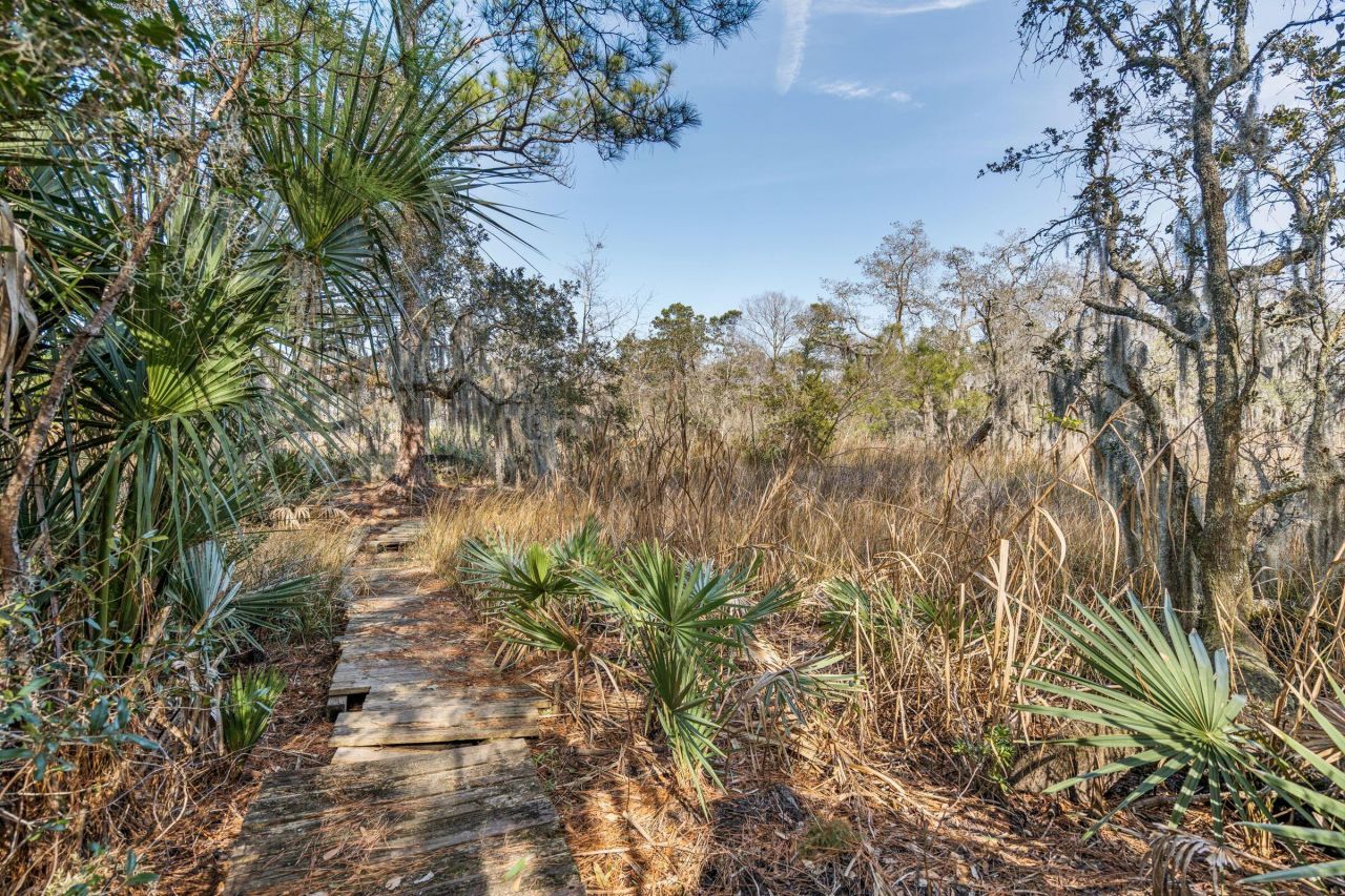 9 Arabian Drive Photo 88